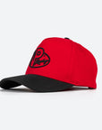 VP Racing Fuels Logo Frame Hat - Red Sector